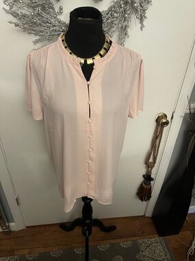 Women's Pale Pink Button-Front Blouse
